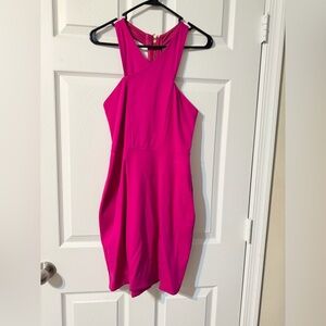 Express Fuchsia Dress